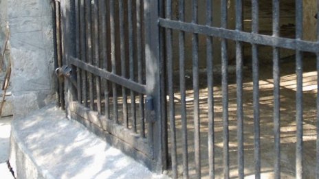 Животните в столичния зоопарк не са умрели от "син език"