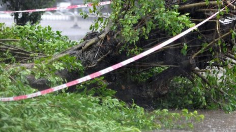 Буря остави 600 000 домакинства без ток в САЩ