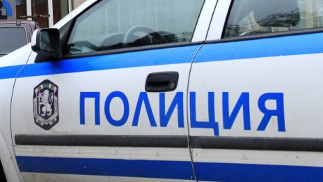 Камион помете пешеходка в добричко село