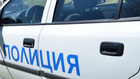Образуваха досъдебно производство заради убийството на пекинез