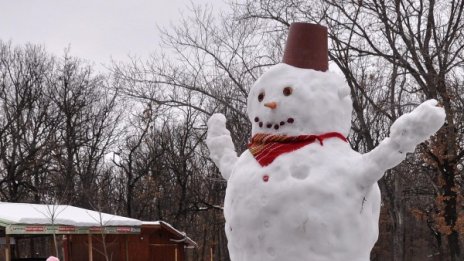 Ураганът Гонсало донася педя сняг в България