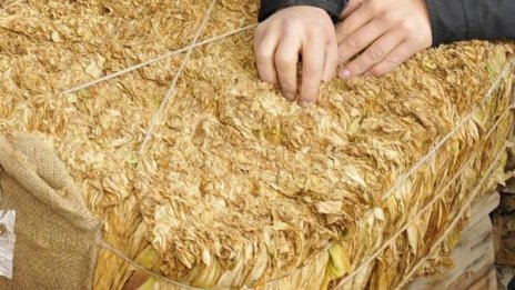 Полицията в Пловдив иззе 40 кг тютюн без платен акциз