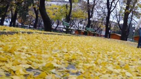Утре: Облачно, но почти без валежи