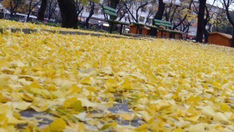 През нощта ще завали в Западна България, утре навсякъде