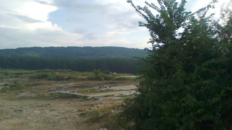 3 000 кедъра на мястото на разрушените ромски къщи в Стара Загора