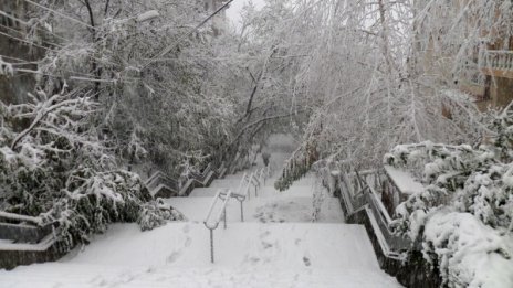 Жълт код за сняг и поледици в Северна България