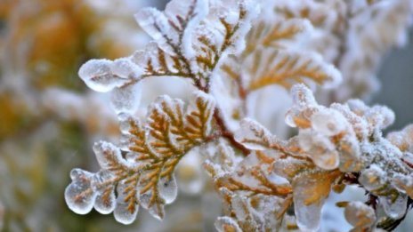 Утре все още ще има валежи, най-вече в Източна и Северна България