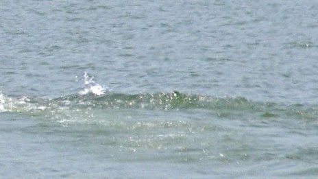 Намериха мъртва издирвана жена от самоковско село