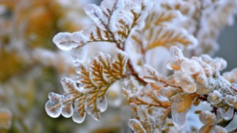 Жълт код за сняг и поледици за цяла България утре 