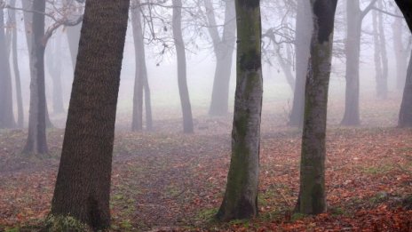Мъгли и температури от 1&deg; до 14 &deg; ни очакват днес