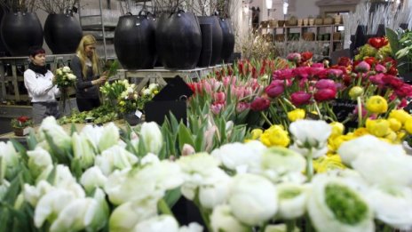 НАП погва цветарите за 8 март