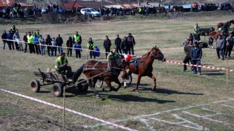 Ромска кушия си спретнаха в Харманли