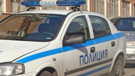 Мъж застреля домашно куче във видинско село
