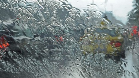 Обстановката с валежите - спокойна