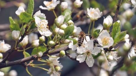 Утре пак дъжд и облаци