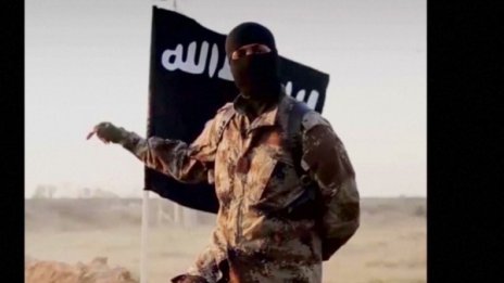Над 70 германки се бият за Ислямска държава