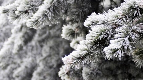 И утре ще е облачно, ще вали слабо