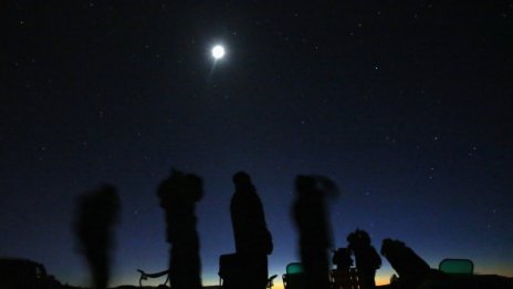 Извънземните били големи като бели мечки