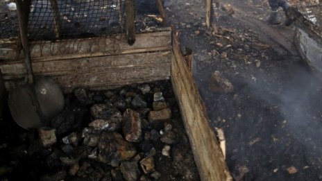 Екополицаи вардят въглища от ромски набези