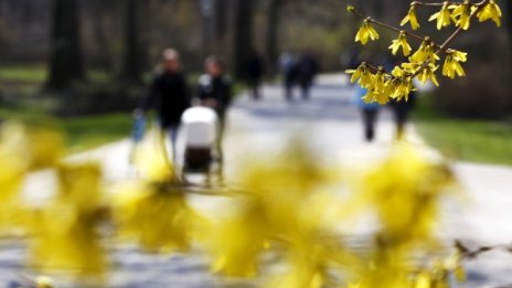 Термометрите днес удрят до 25 градуса 