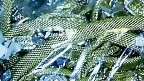 Пипнаха злато и монети на Капитан Андреево