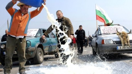 Мляко: 40ст. от мандрата, а 1,80 – в магазина. Защо?