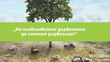 ЧЕЗ обявява фотоконкурс "Не позволявайте дърветата да станат дървесина"