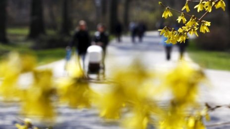 Слънце до обяд, дъжд и градушки след това