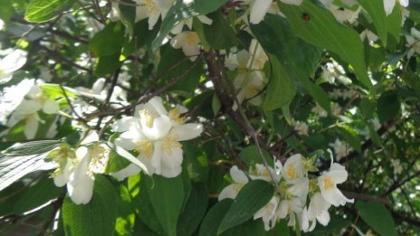 Слънце утре сутринта, следобед пак дъжд