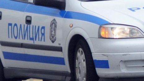 Част от човешко тяло намериха кучета в Девня