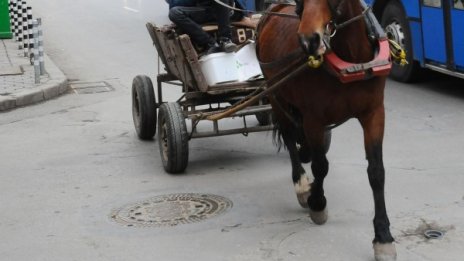 Шестгодишно е с опасност за живота, пометено от каруца