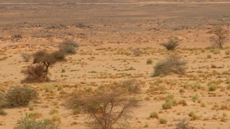 18 мигранти открити мъртви в Сахара край Нигер