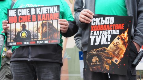 В кадър: Мирен протест на служителите на столичния зоопарк 