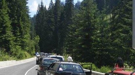Нестинари, овчарски кучета и още изненади на Рожен
