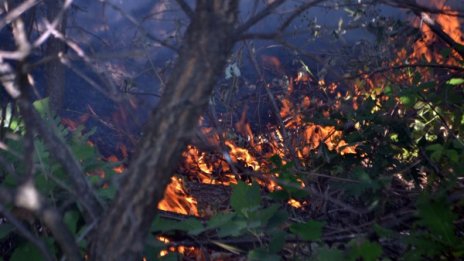 Пожарът около Харманли вече е ограничен