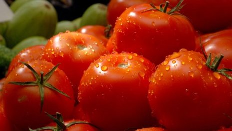 Погват фермери за еднодневните трудови договори