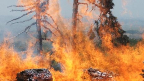Овладяха пожара край Вълча поляна
