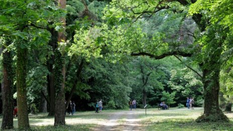 Кръстиха парк на Нури Адалъ &ndash; наш Мандела и знаме на ДПС