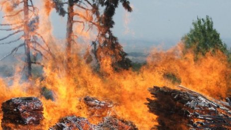 95% от пожарите – дело на човешка небрежност