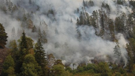 Човешката небрежност предизвиква пожарите