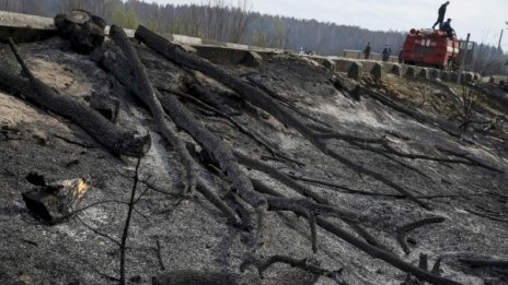 Все още гасят пожара в забранената зона около АЕЦ "Чернобил"