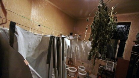 15 кг дрога и оръжия къта хижа до Сапарева баня