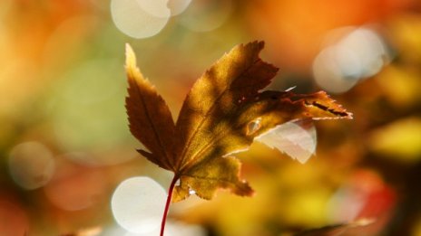 Септември: Горещ, дъждовен, променлив...