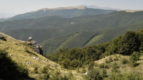 Издирват 70-годишен, загубил се в планината