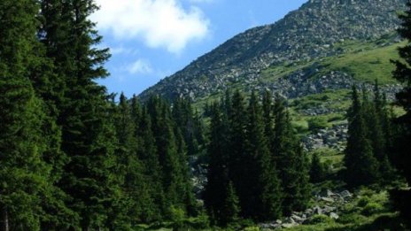 Продължава издирването на изчезналия на Витоша