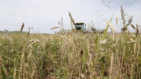Жегата остава и утре, живакът ще удари 36&deg;C