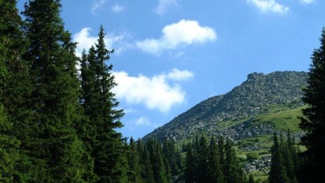 Слънчево и топличко, но до неделя