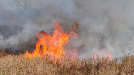 Комбайн се запали край Правец, двама са с опасност за живота