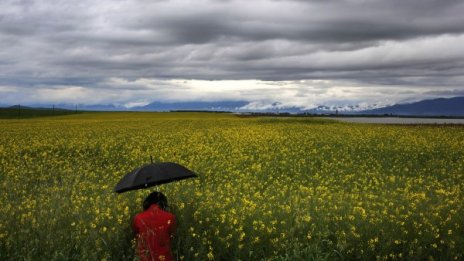 Облачен четвъртък: Чакат ни дъжд и гръмотевици
