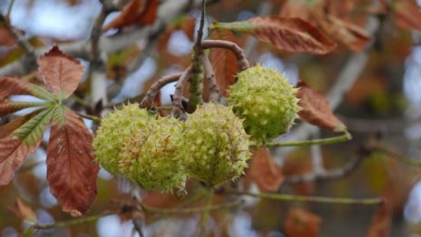 Облачно и хладно остава и в сряда